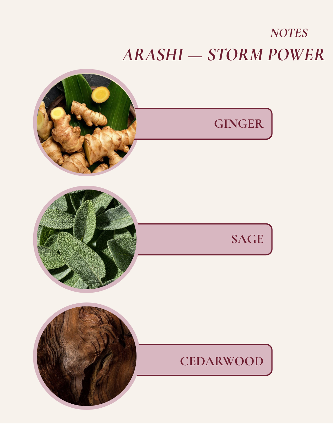 ARASHI — STORM POWER - 50 ML DAILY ESSENTIAL